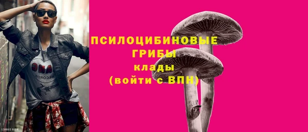 мескалин Гусь-Хрустальный