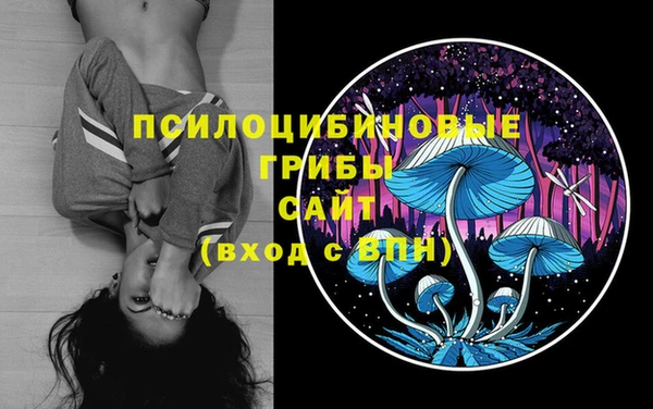 круглые Гусиноозёрск